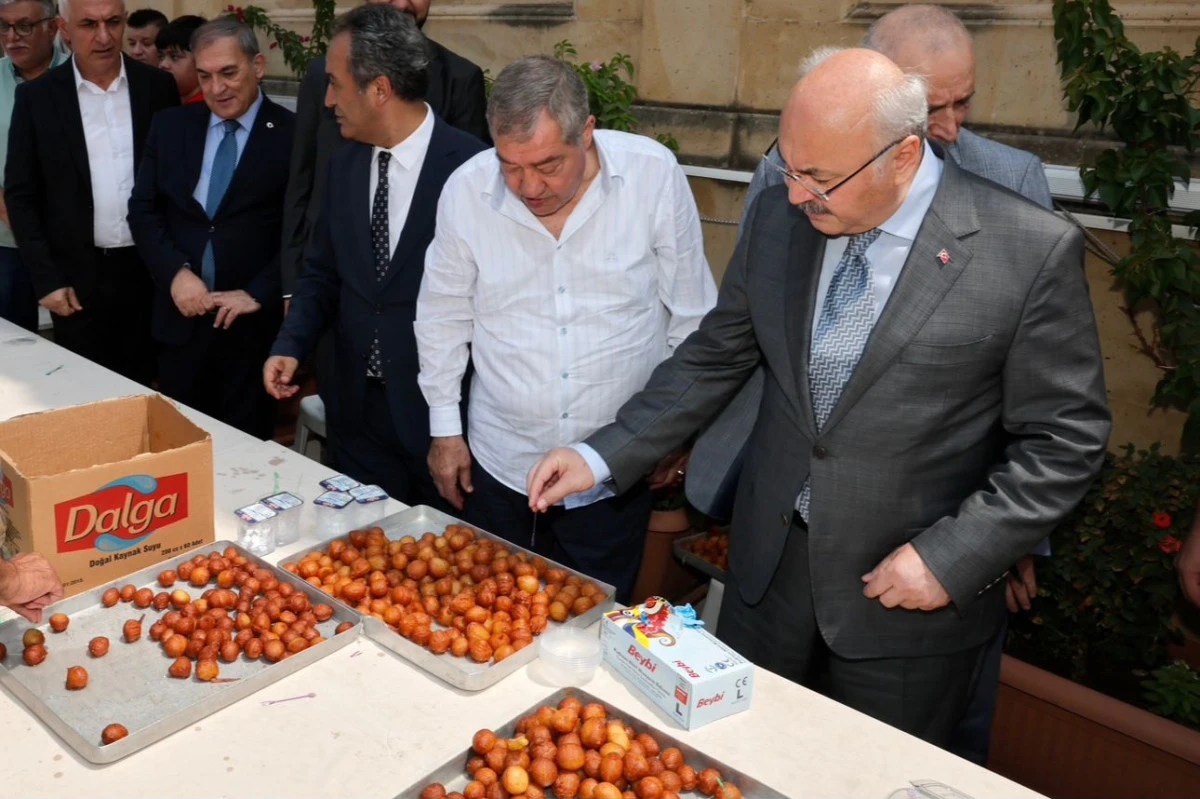15 TEMMUZ ŞEHİTLERİMİZ DUALARLA YÂD EDİLDİ