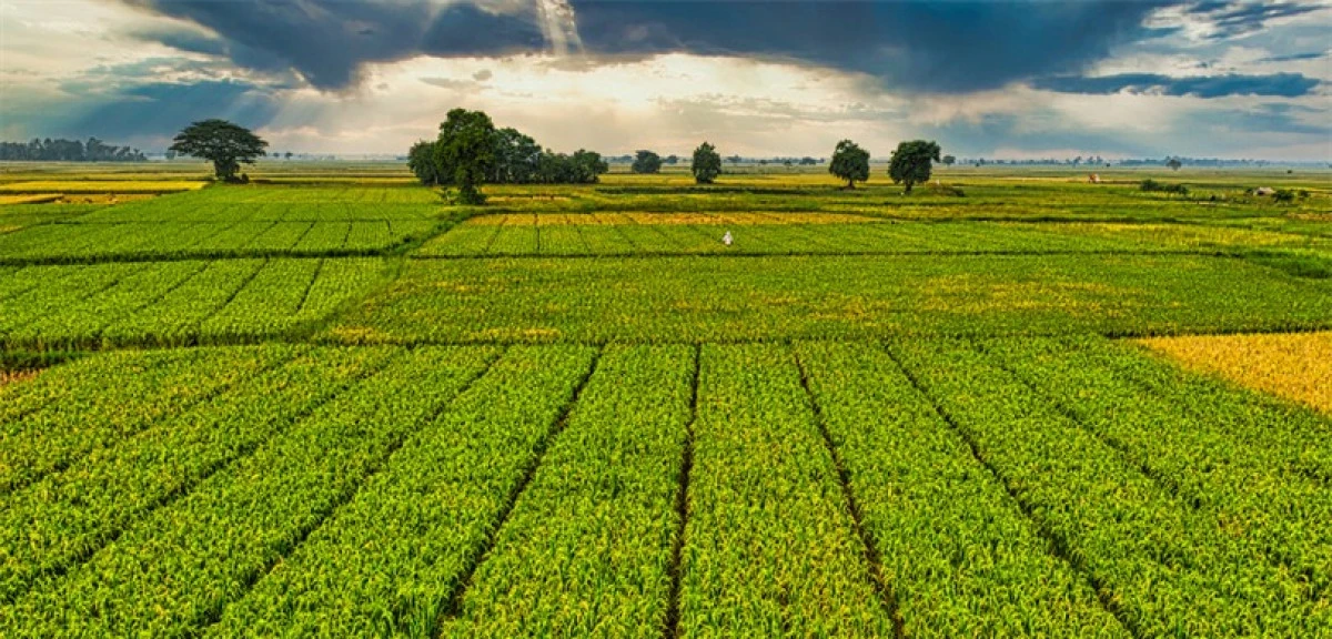 156 Yerel Eylem Grubu&rsquo;na  2,2 milyar lira hibe desteği