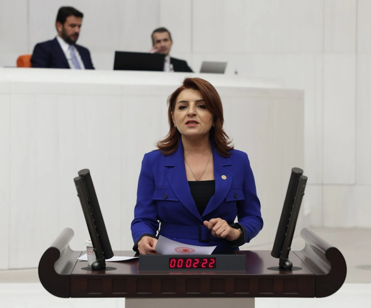 CHP Mersin Milletvekili G&uuml;lcan Kış&rsquo;tan 3 Ocak Kurtuluş G&uuml;n&uuml; Mesajı