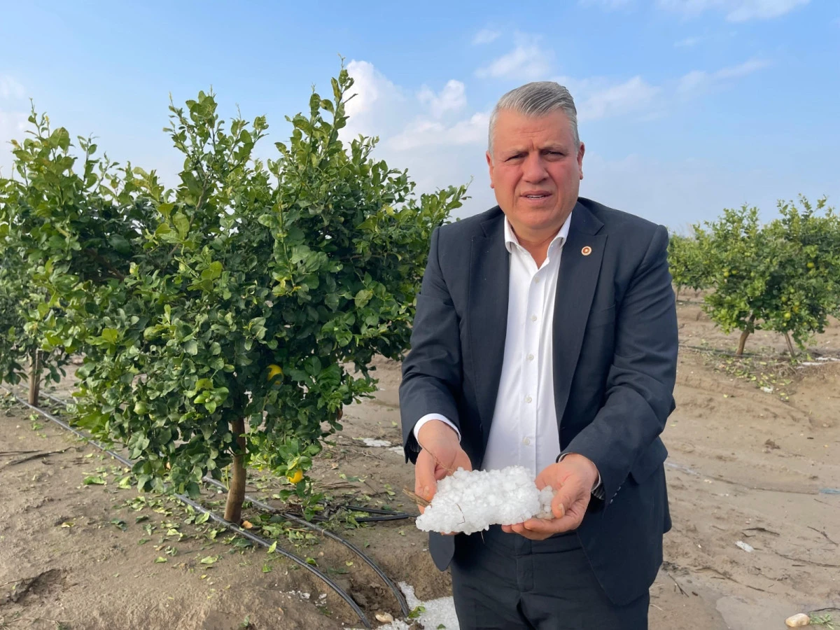 Adanalı &uuml;reticiyi yine dolu vurdu