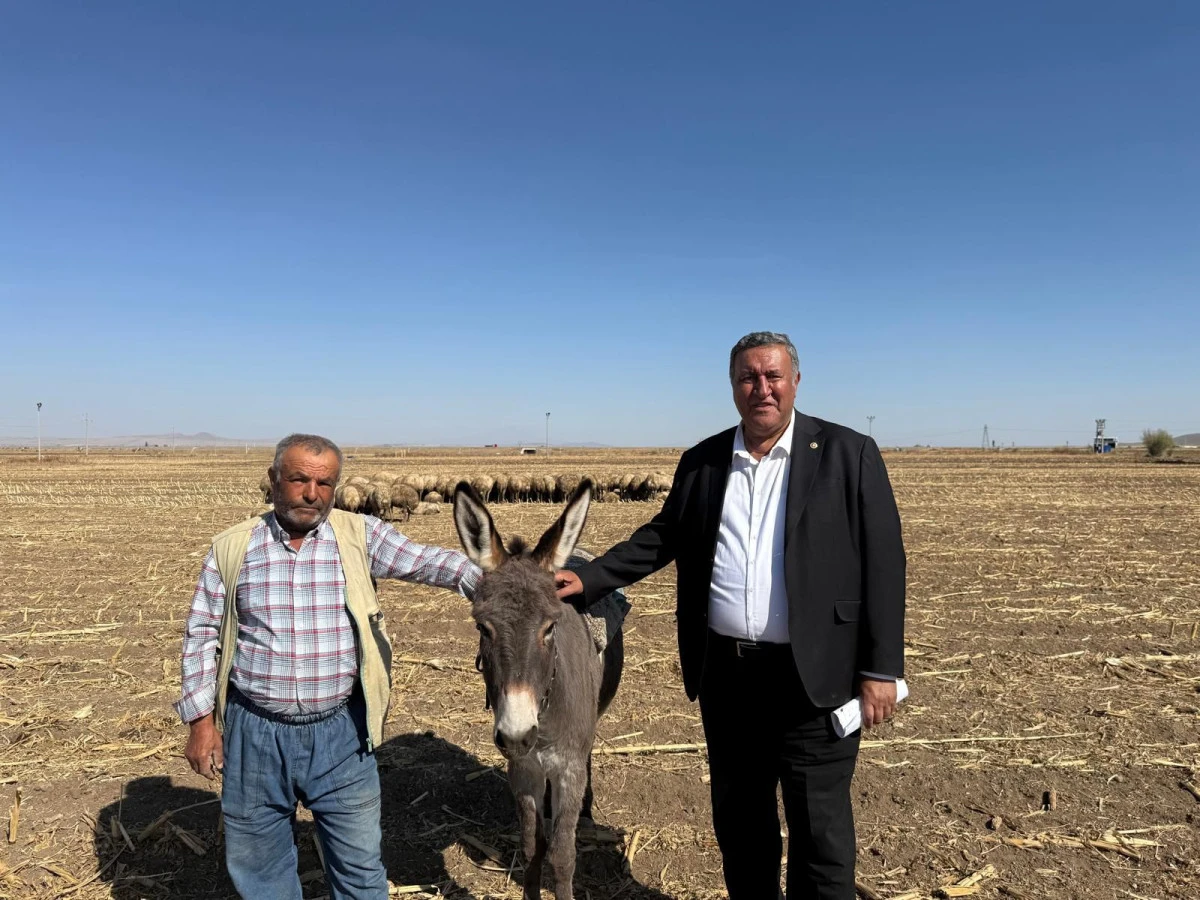 Artan maliyetler  besicileri bunalttı