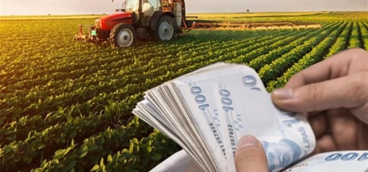 Bitkisel &uuml;retimde b&uuml;y&uuml;k kayıp!..