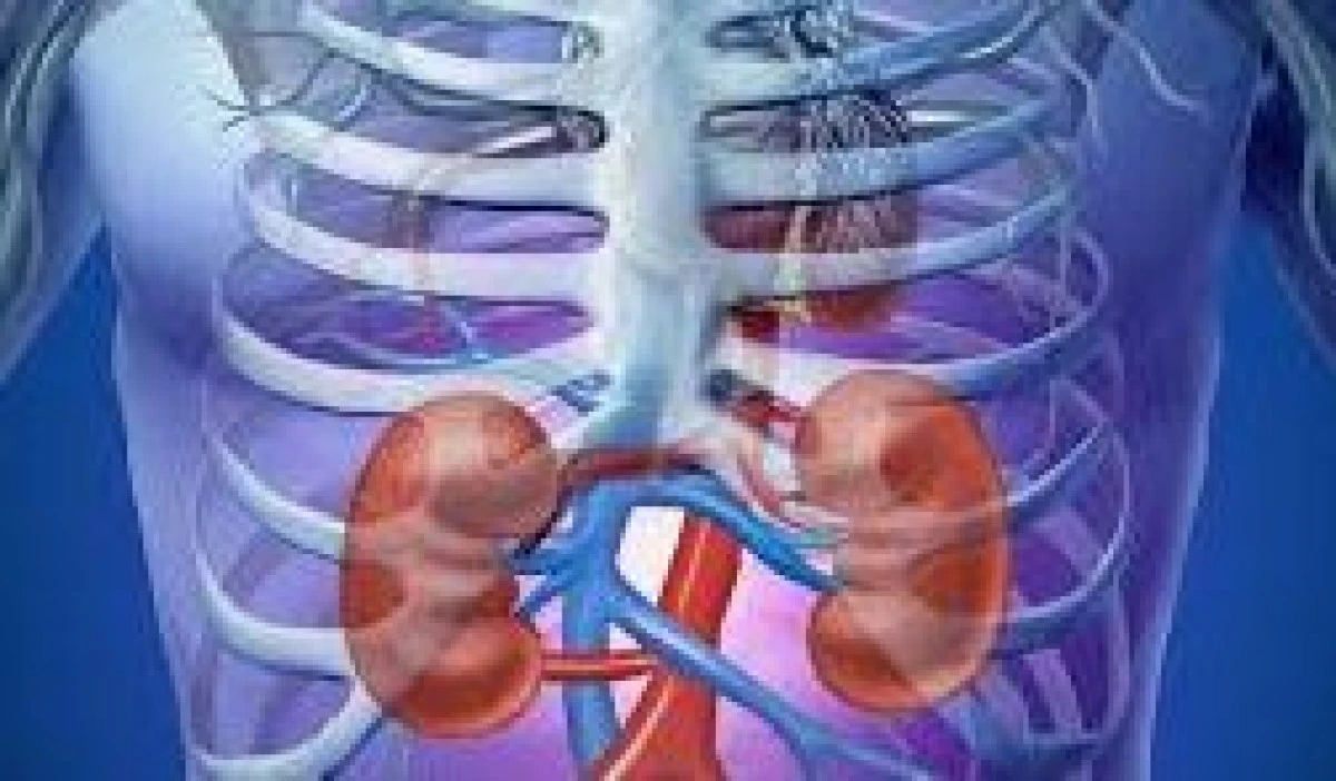 BÖBREK ÜSTÜ BEZİ KİTLESİ TEHLİKELİ OLABİLİR! 