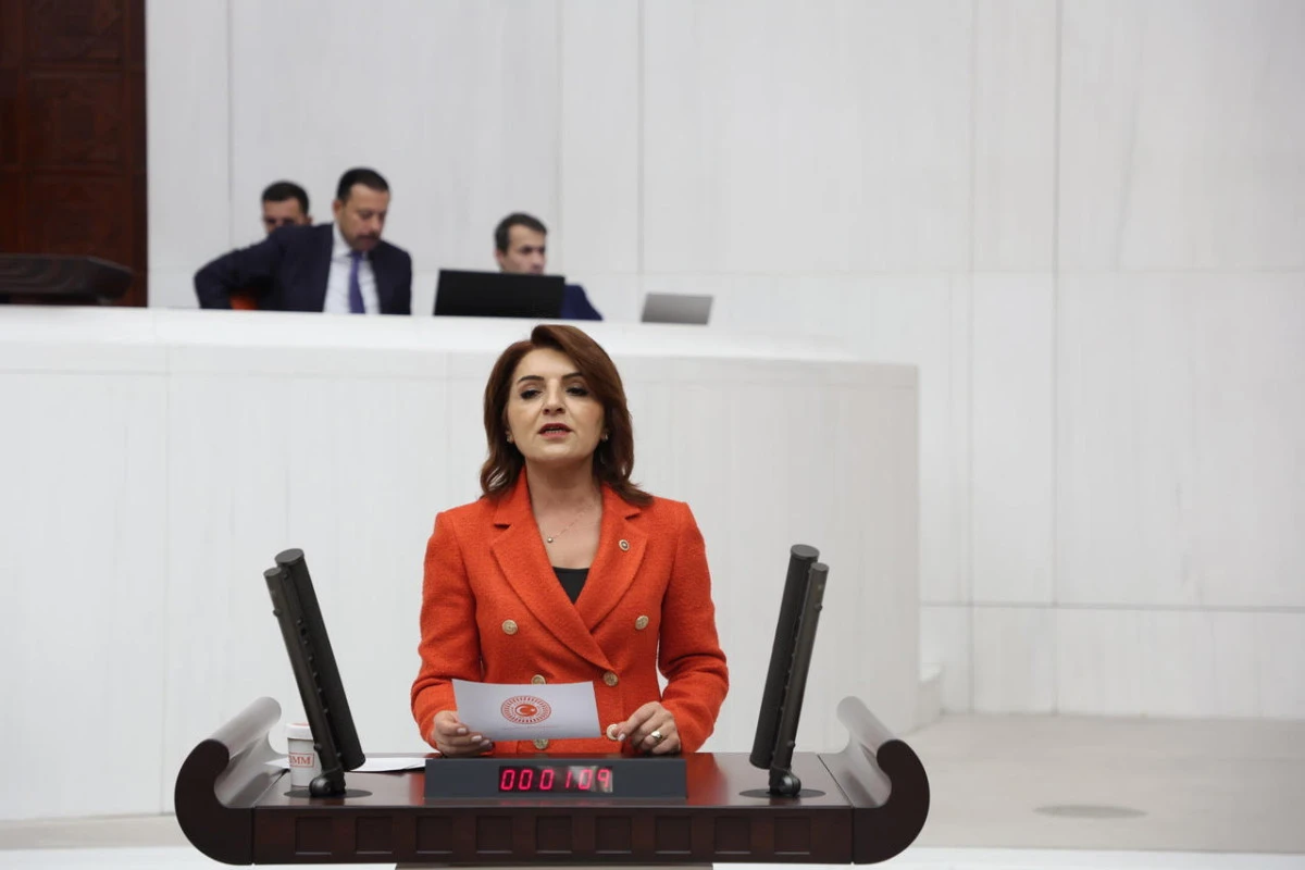 &ldquo;Faiz, b&uuml;t&ccedil;ede tali bir  kalem olmaktan &ccedil;ıktı&rdquo;