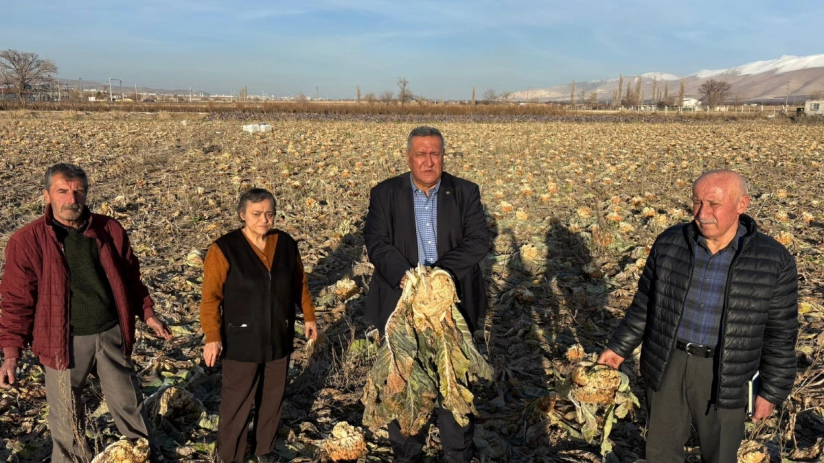 G&uuml;rer: &ldquo;Tarımdaki kriz  mevsimlik değil yapısal&rdquo;