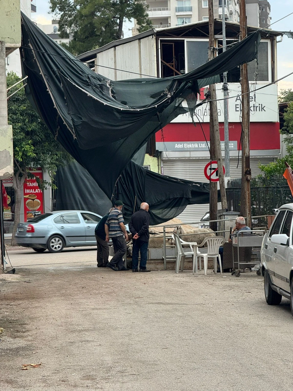 Mahalleliyi canından bezdiren kurbanlık satışı