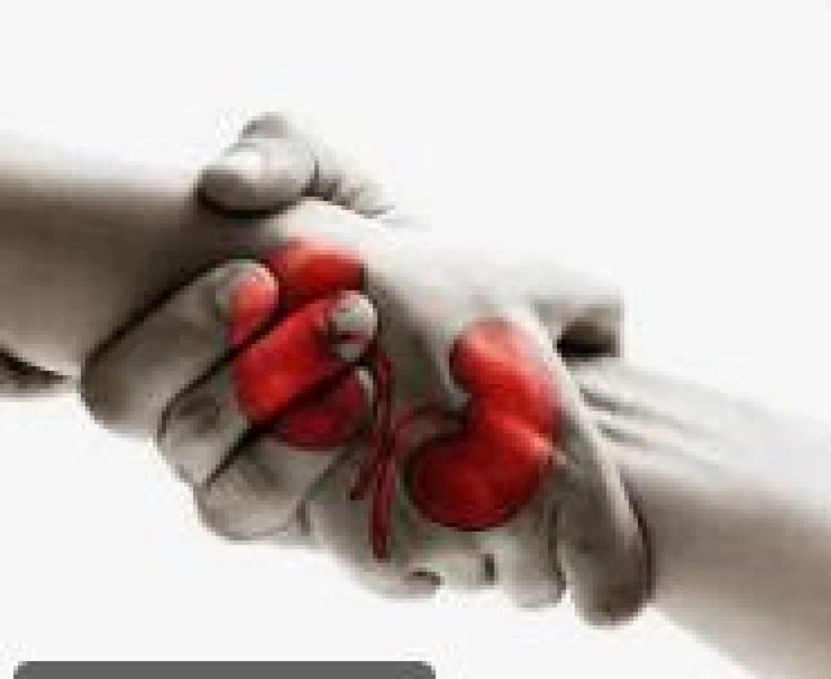 Türk cerrahlar Hollanda’da ilk canlı donör naklini gerçekleştirdi!