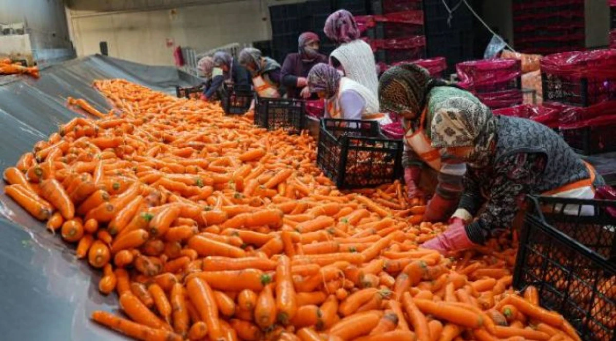 &Uuml;retici-market fiyat  farkı dudak u&ccedil;uklattı