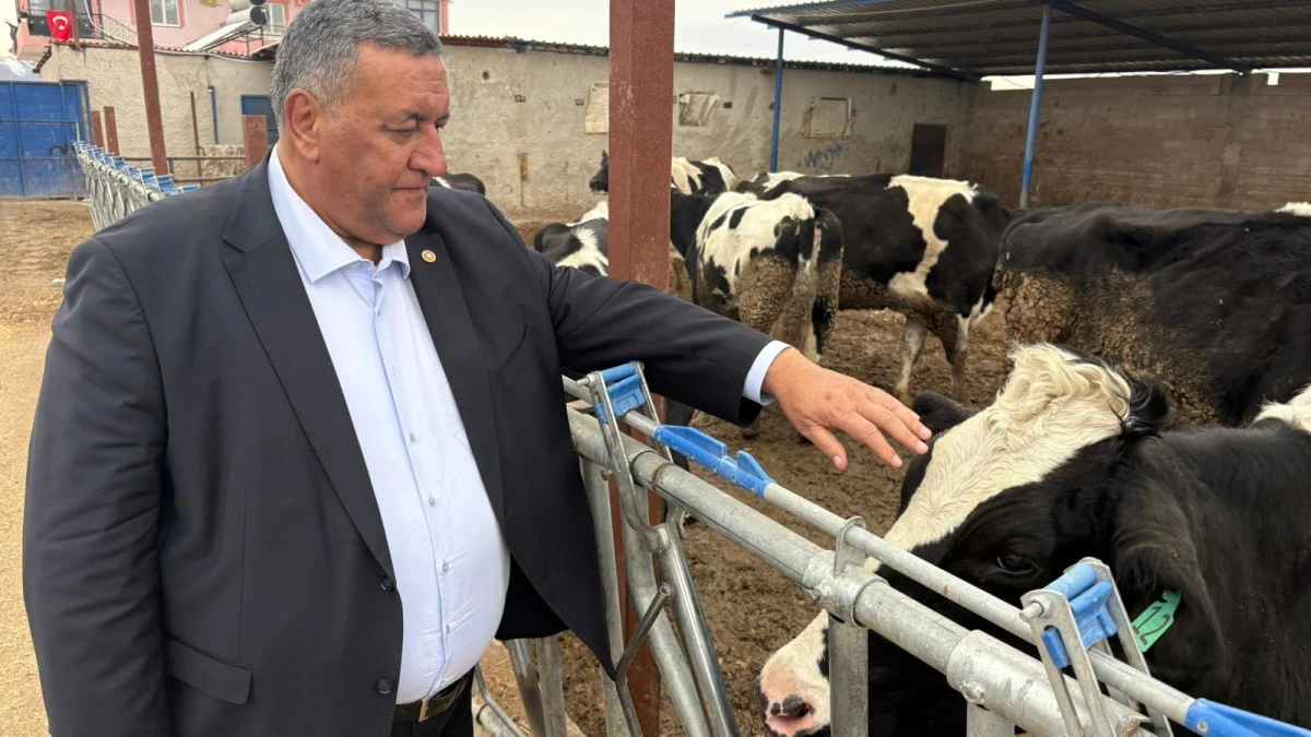 YEM 900 LİRA S&Uuml;T 20,5 LİRA